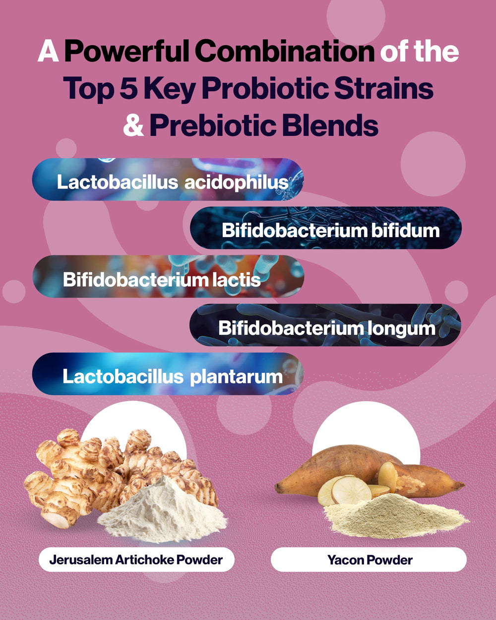 Jerusalem artichoke powder and yacon root prebiotics artwork
