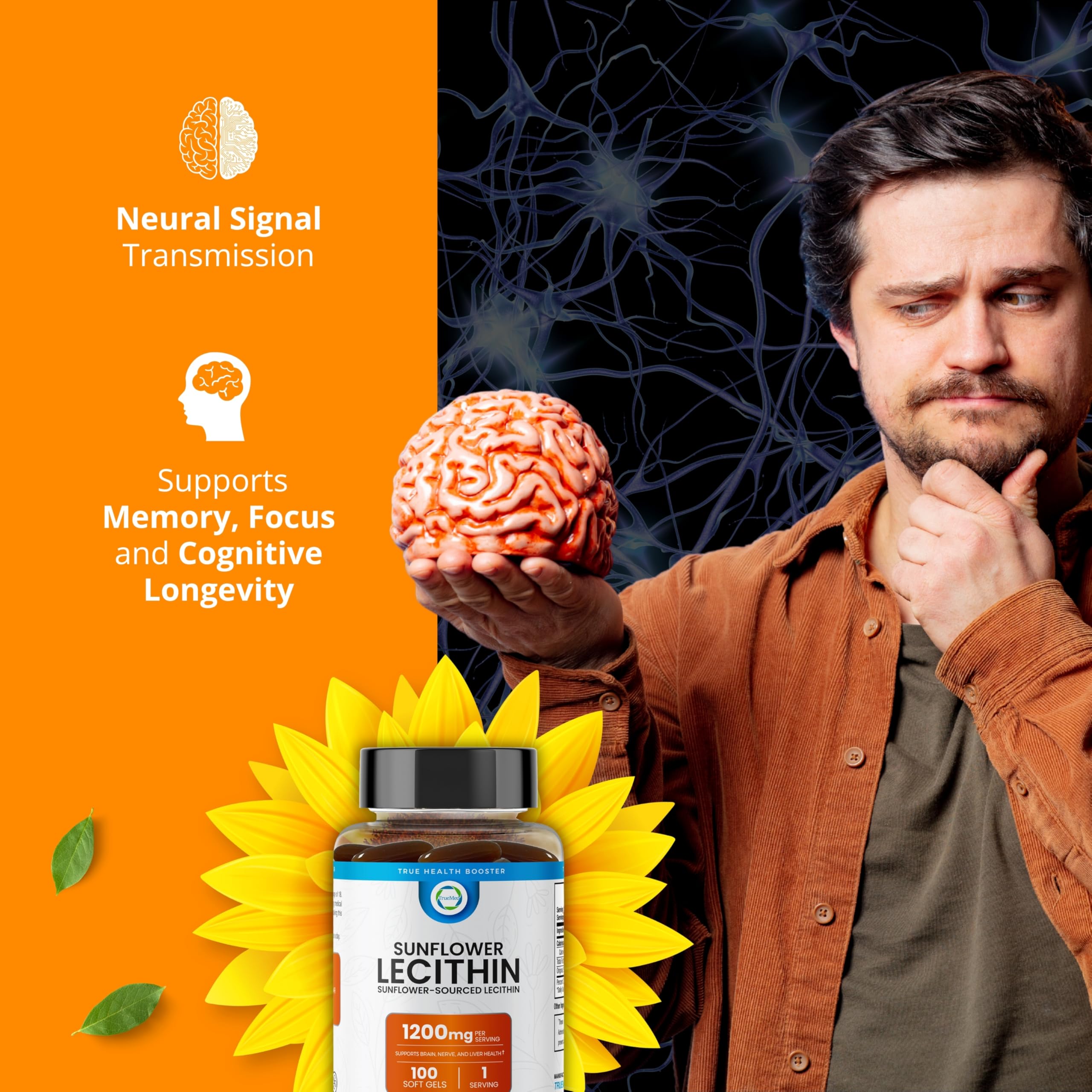 Graphic illustrating brain health benefits of sunflower lecithin