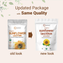 Close-up texture of sunflower lecithin powder