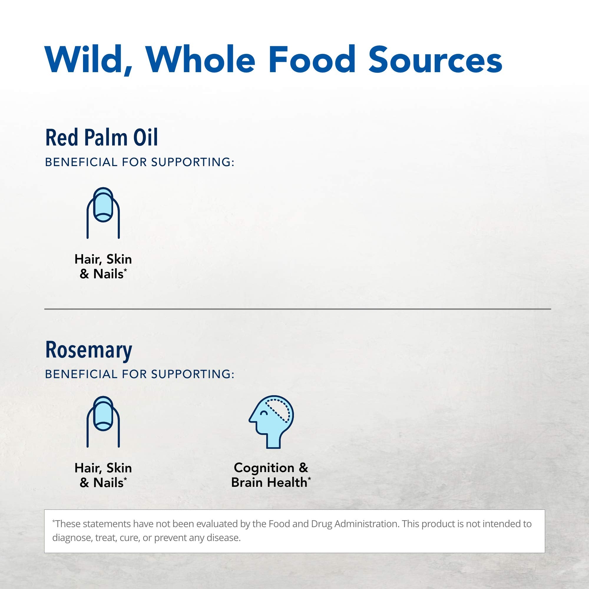 Sunflower seed vitamin E complex ingredients