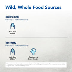 Sunflower seed vitamin E complex ingredients