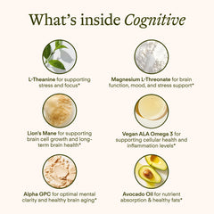 Lion’s Mane mushroom ingredient for brain health