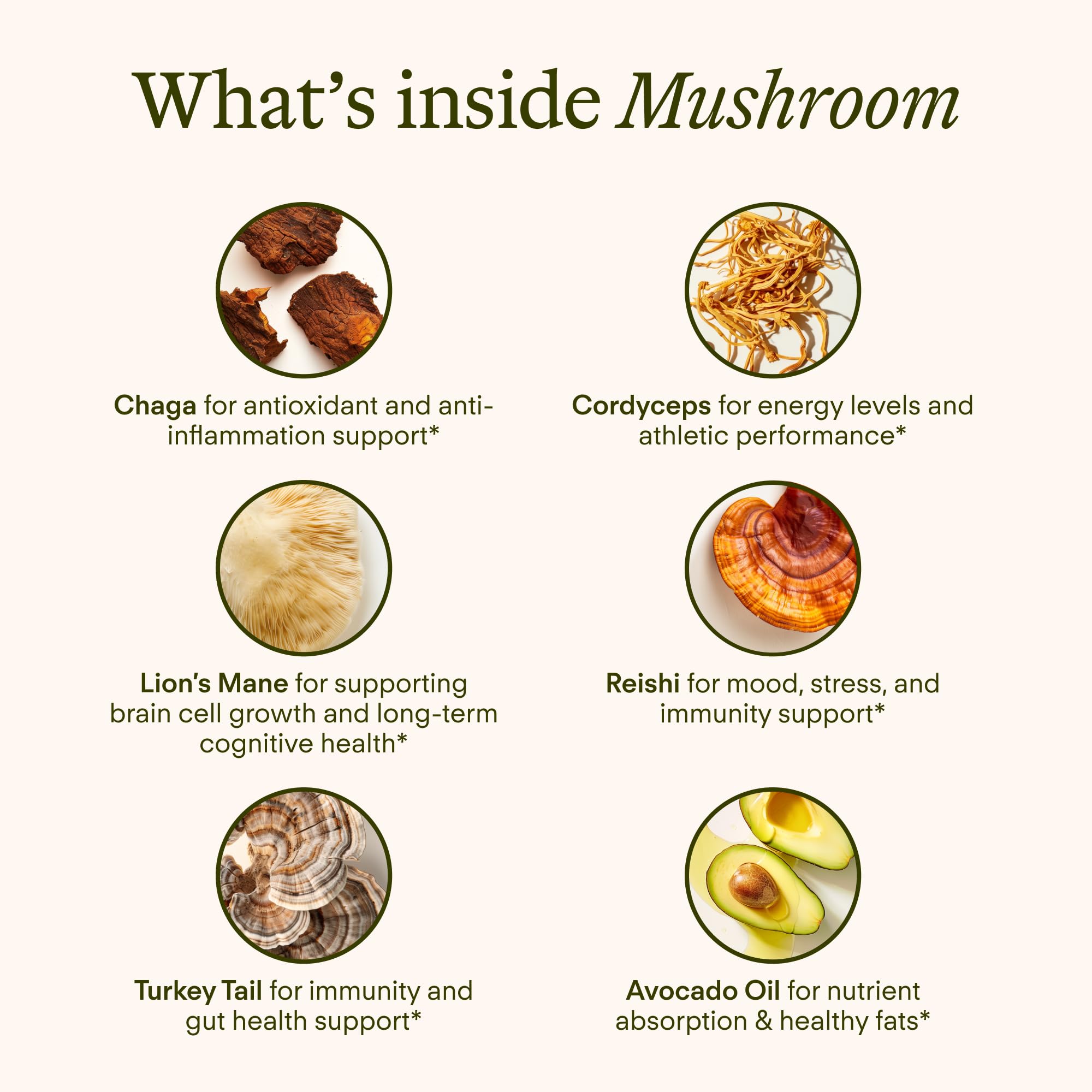 Fruit bodies of five mushrooms used in Sunny Within blend