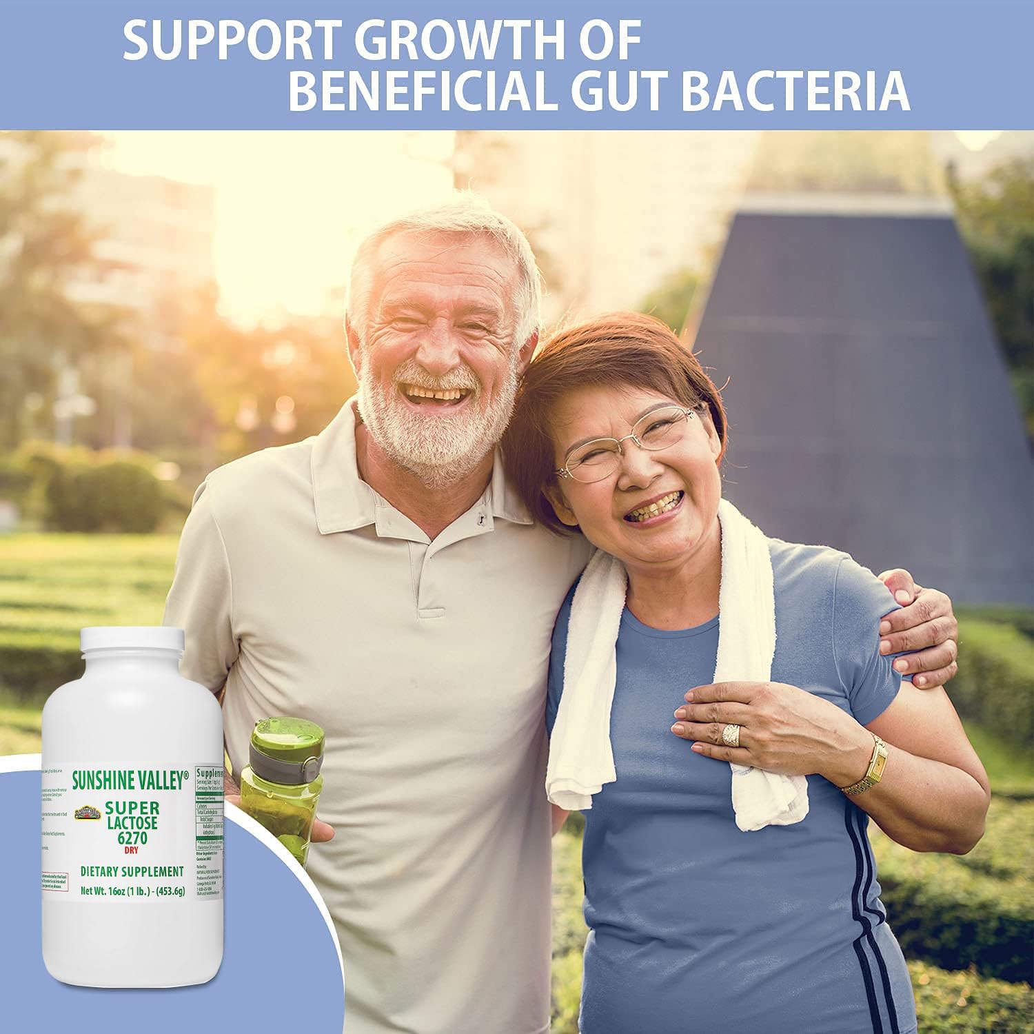 Professional kitchen use: stabilizer and filler with lactose powder