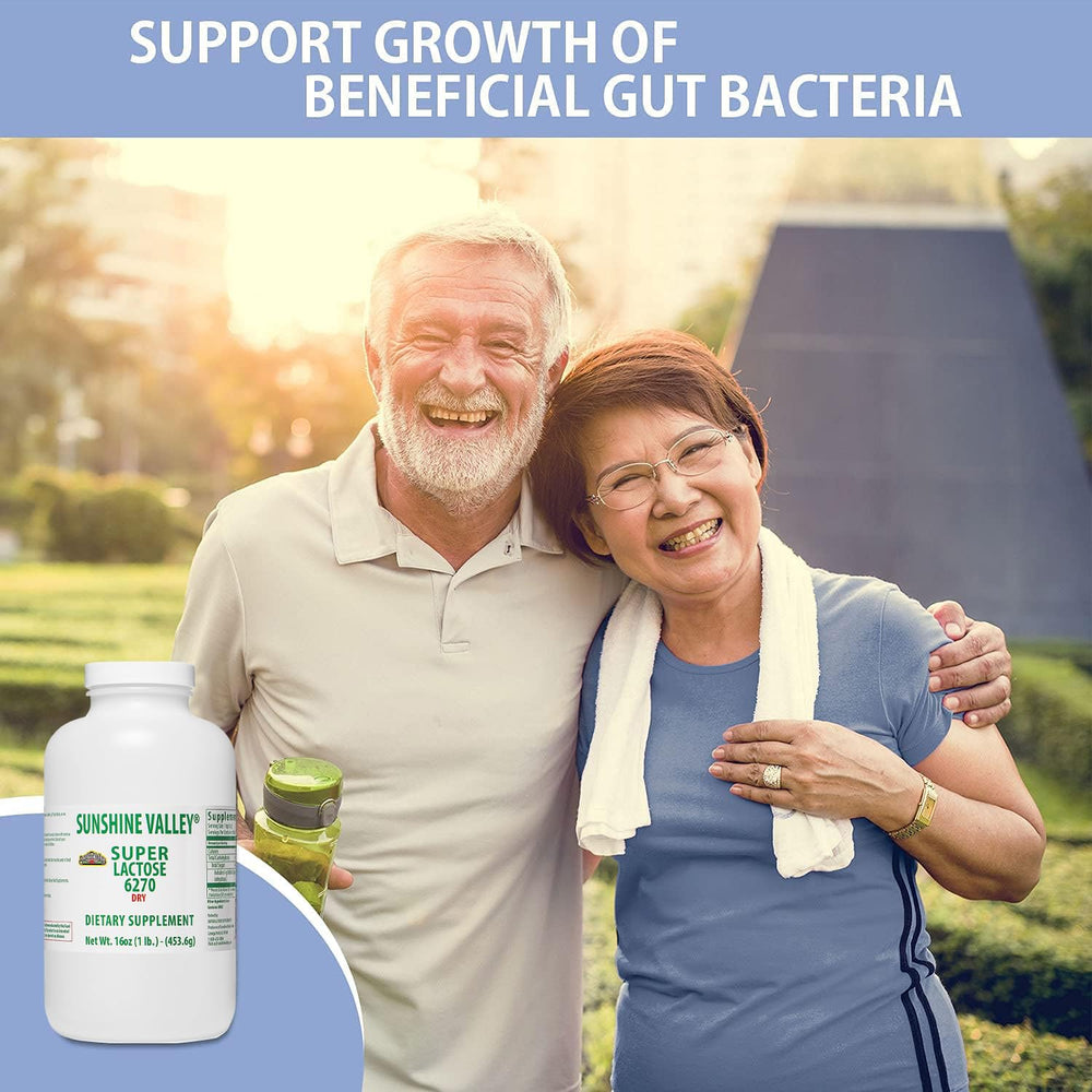 Professional kitchen use: stabilizer and filler with lactose powder