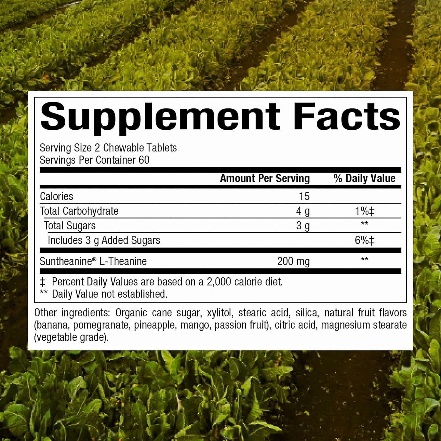 Ingredients and nutrition label for Suntheanine L-Theanine 100 mg chewables