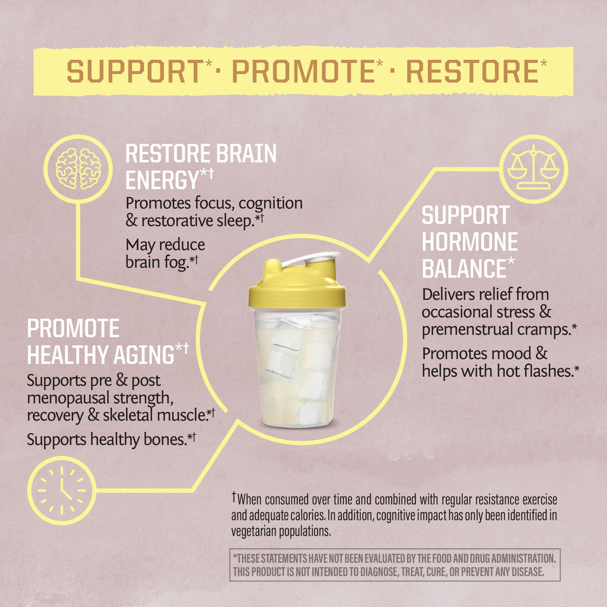 Sunwarrior Creatine Monohydrate scoop for consistent daily dosing