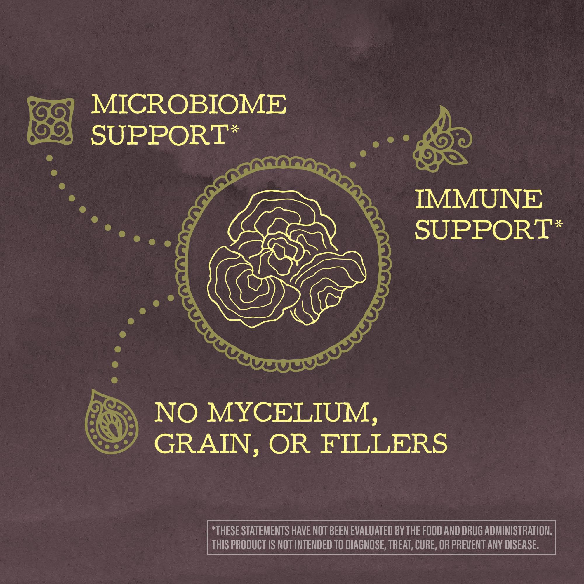 Serving ideas for Sunwarrior Organic Turkey Tail Mushroom Powder