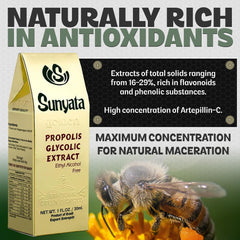 Sunyata Premium Green Propolis 100% Green