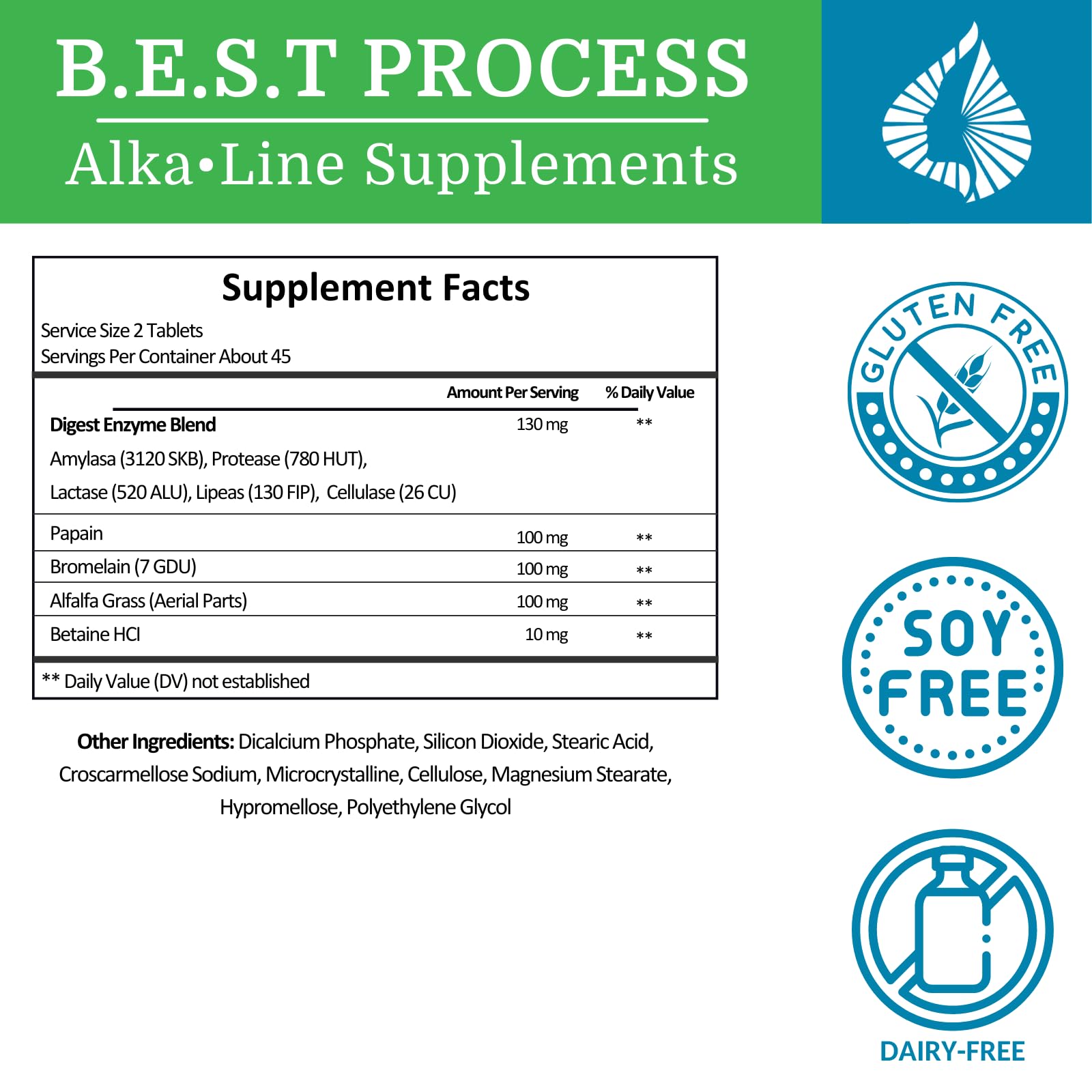 Graphic illustrating seven enzymes: amylase, protease, lipase, lactase, cellulase, bromelain, papain