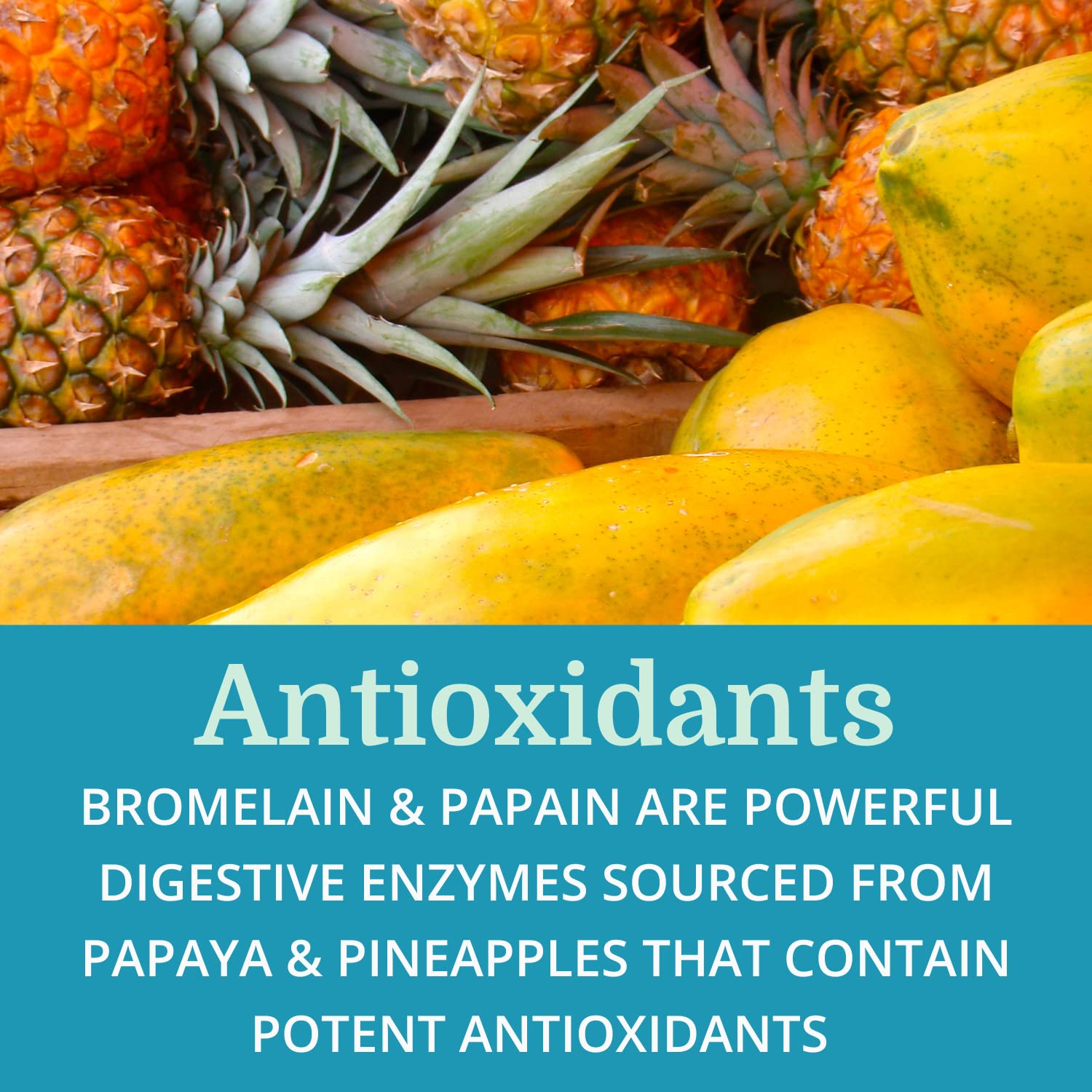 Alfalfa and betaine HCl ingredients associated with SuperDigest