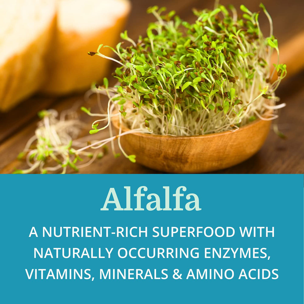 Vitamin- and enzyme-rich concept imagery for improved nutrient absorption