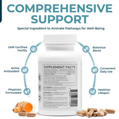 Cellular health concept illustration for Nrf2 Activate+