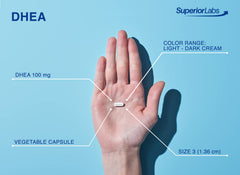 DHEA ingredient panel and supplement facts