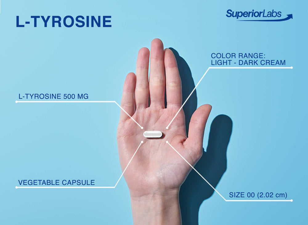 Daily serving of 500 mg L-Tyrosine capsules
