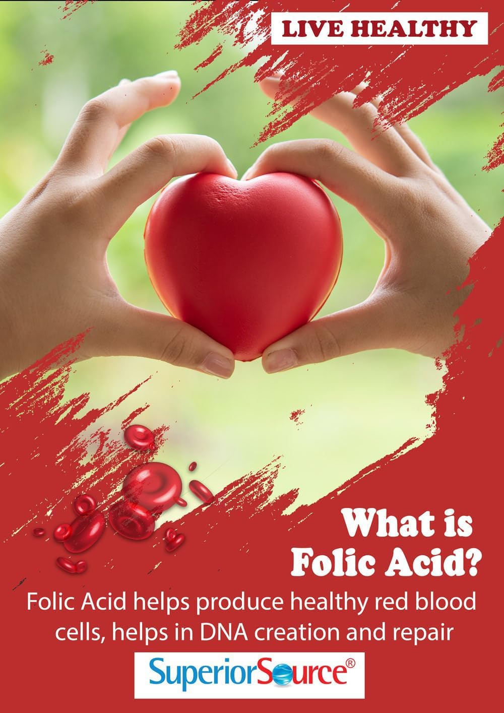 Icons illustrating energy, brain, heart support from B-12 and folic acid