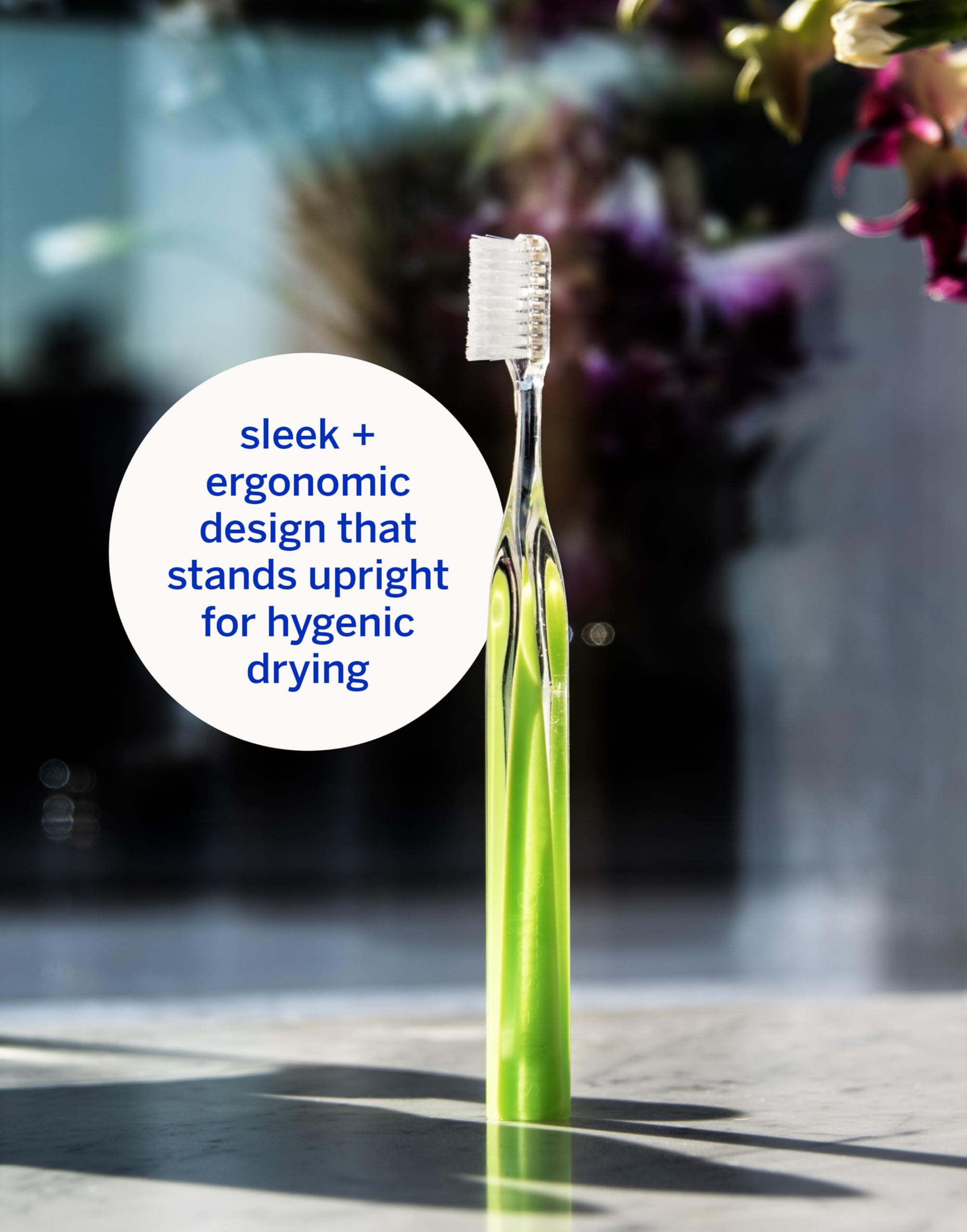 Hygienic standup storage for toothbrush