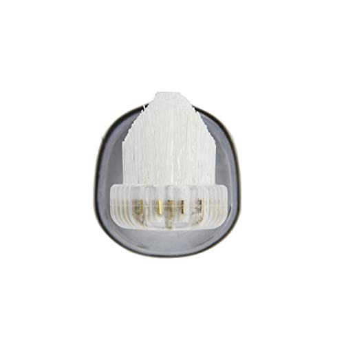 Charcoal replacement brush heads mounted on Zina45 Sonic Pulse toothbrush
