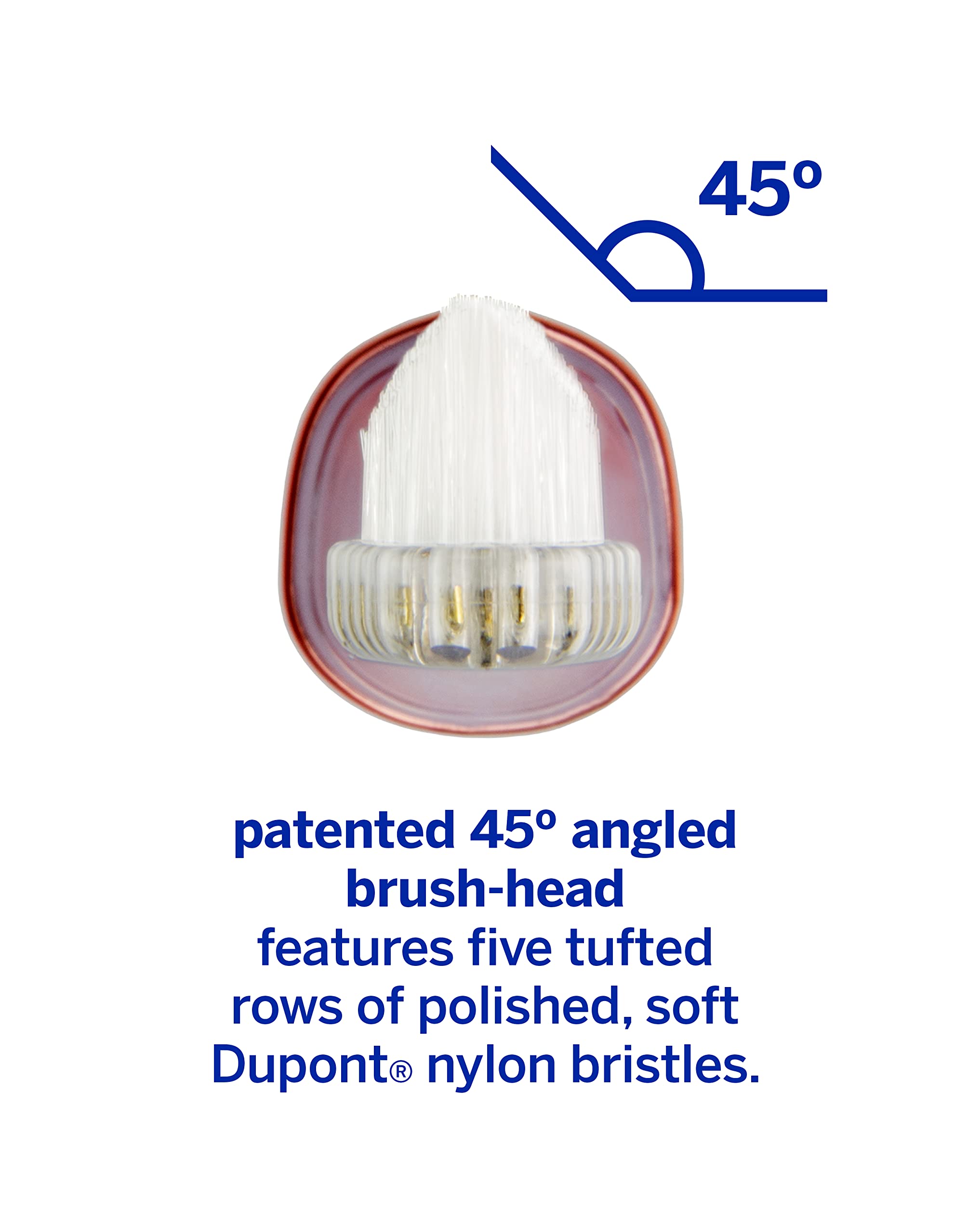 Close-up of Zina45 replaceable brush head design with 45-degree angle