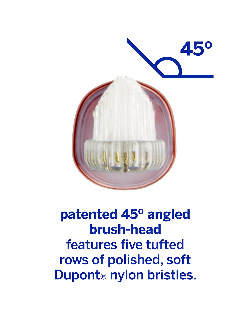 Close-up of Zina45 replaceable brush head design with 45-degree angle