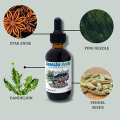 Illustration of pine needles, star anise, fennel seeds and dandelion used in the tincture