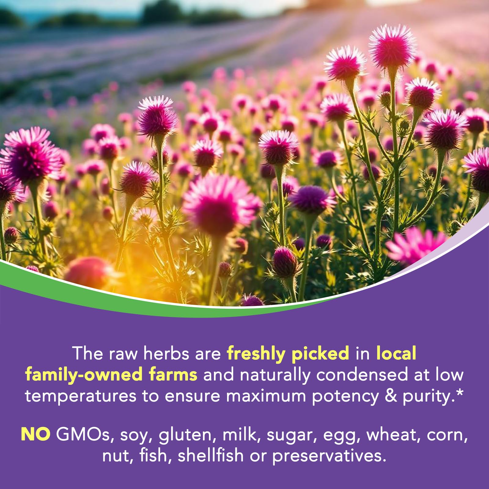 90 veggie caps bottle representing 3-month supply