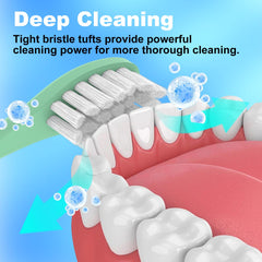 Green replacement brush heads for SURI Electric Toothbrush, front view