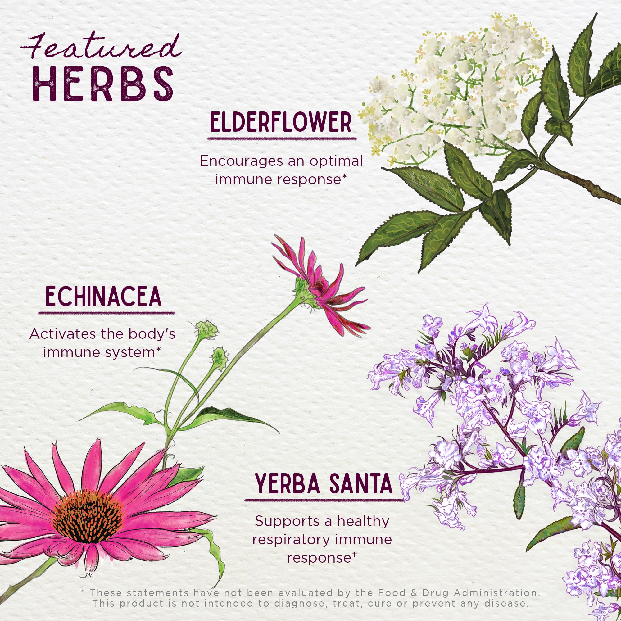 Sustainable, non-GMO herb sourcing and small-batch production