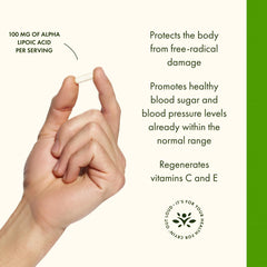 Swanson Alpha Lipoic Acid full-spectrum plant-based ingredients illustration