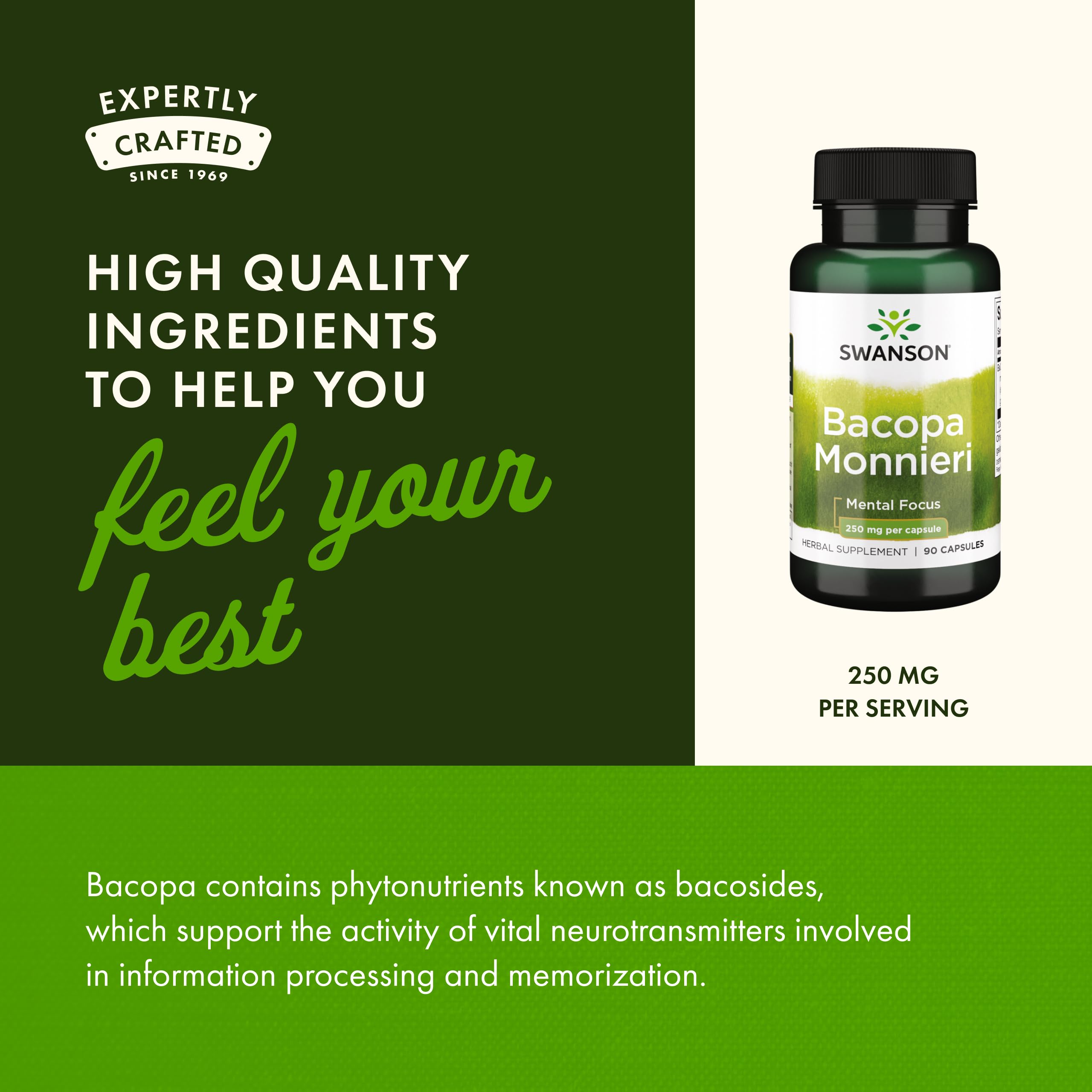 Memory and focus concept featuring Bacopa Monnieri