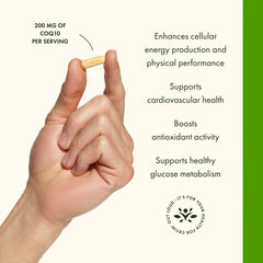Antioxidant support graphic featuring CoQ10
