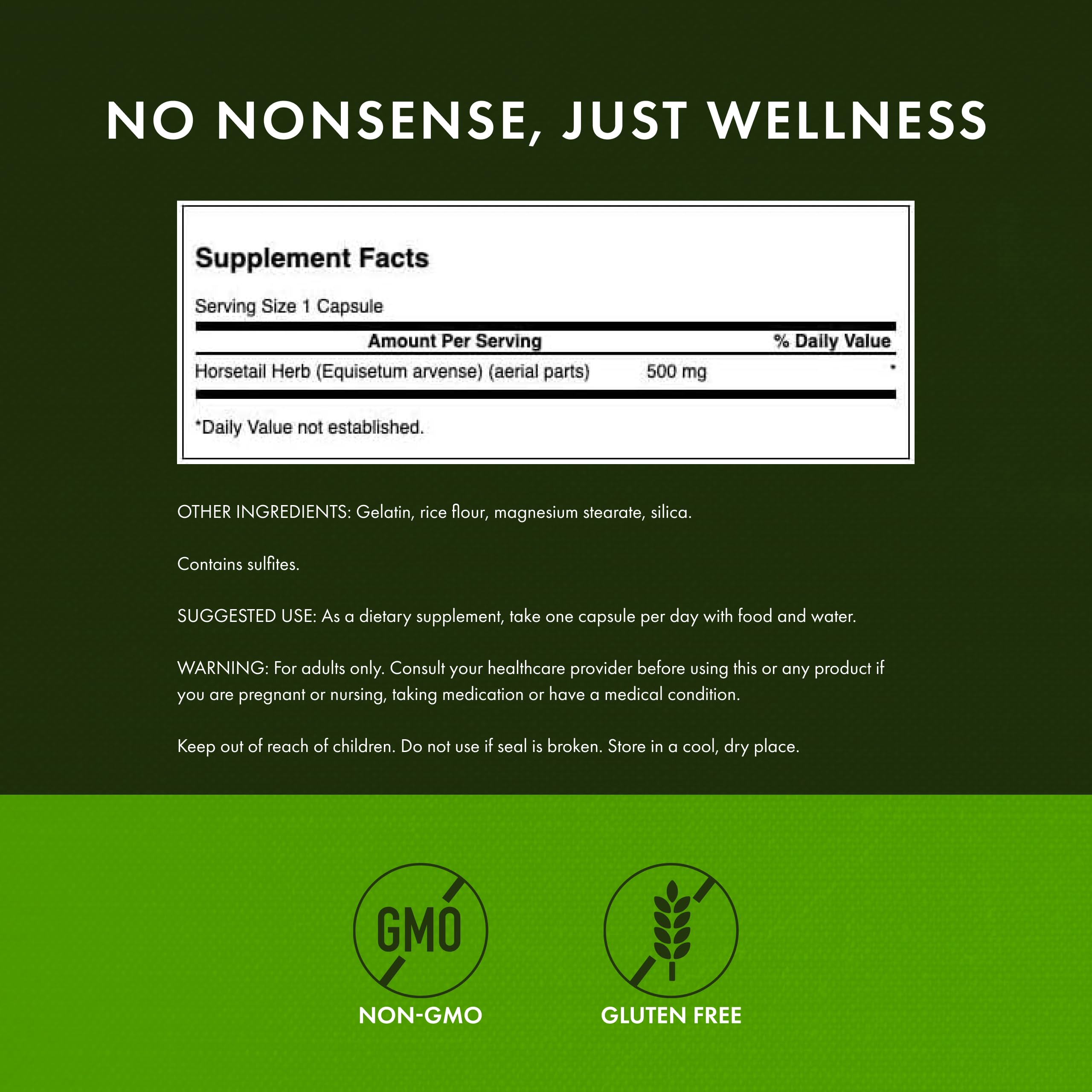 Horsetail grass plant illustration