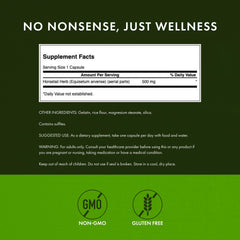 Horsetail grass plant illustration