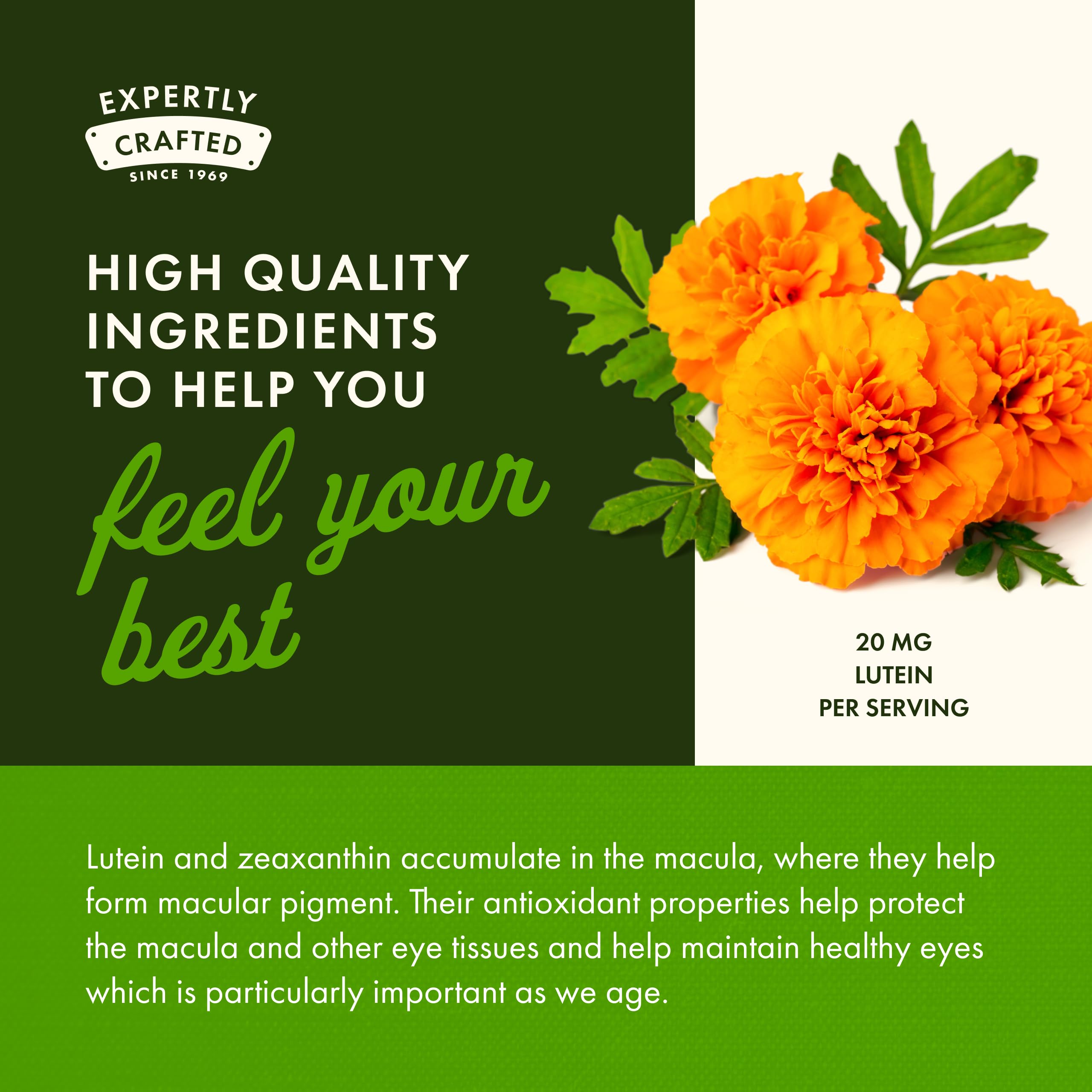 GMP-certified manufacturing facility icon