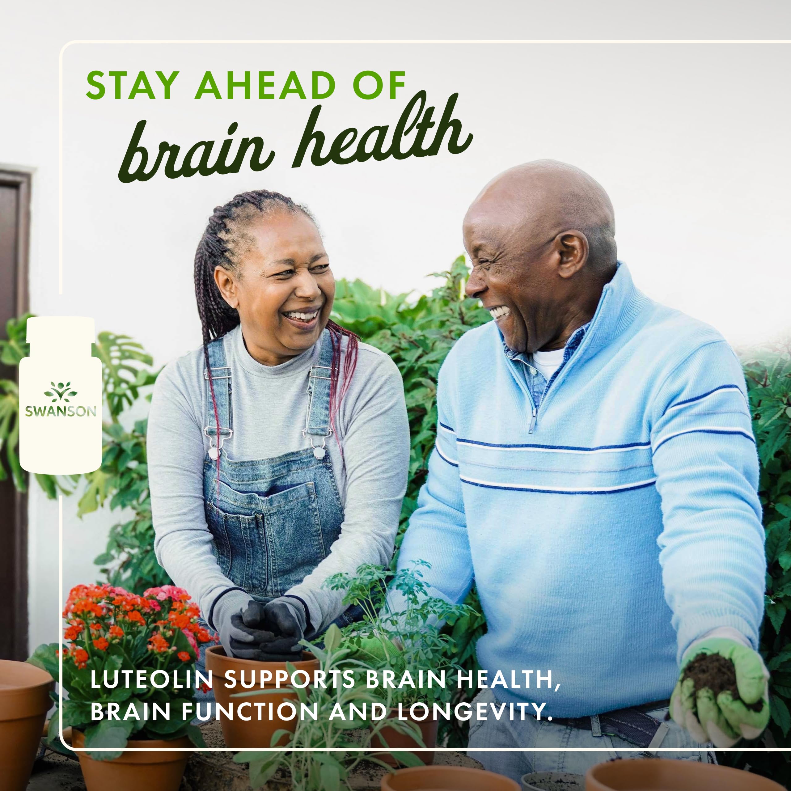 Swanson Luteolin Complex brain support product