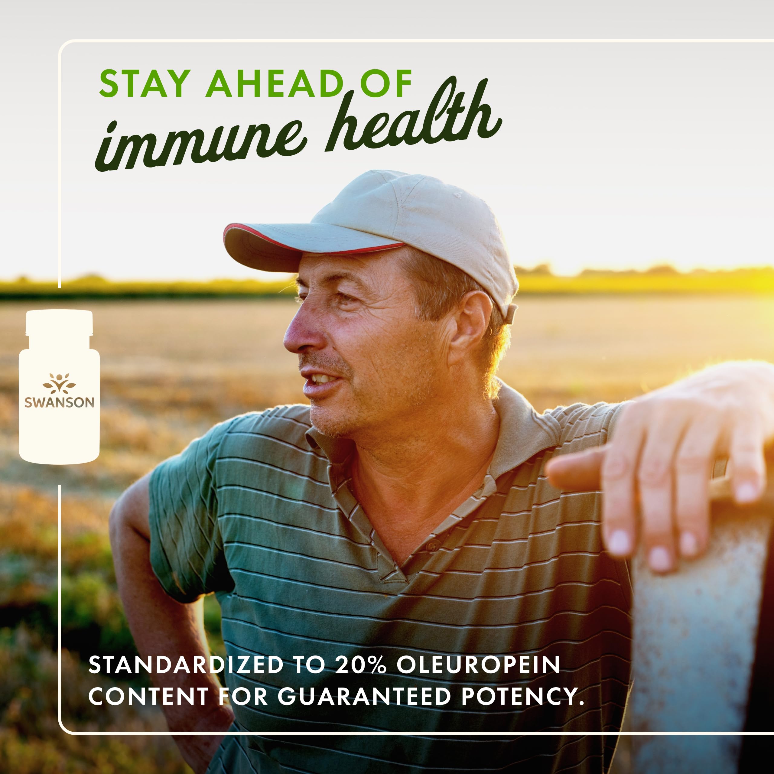 Close-up of Swanson Olive Leaf Extract label showing 20% oleuropein