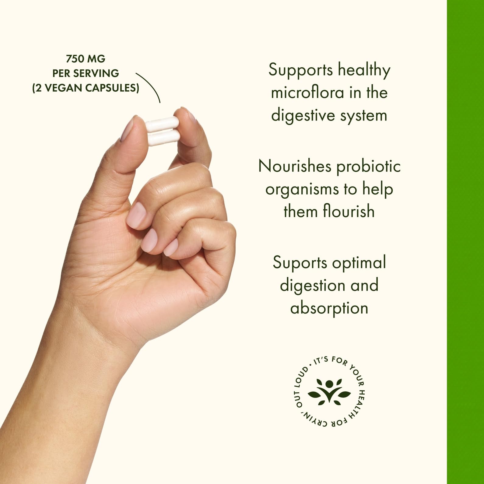 Close-up of Swanson Prebiotic Capsules