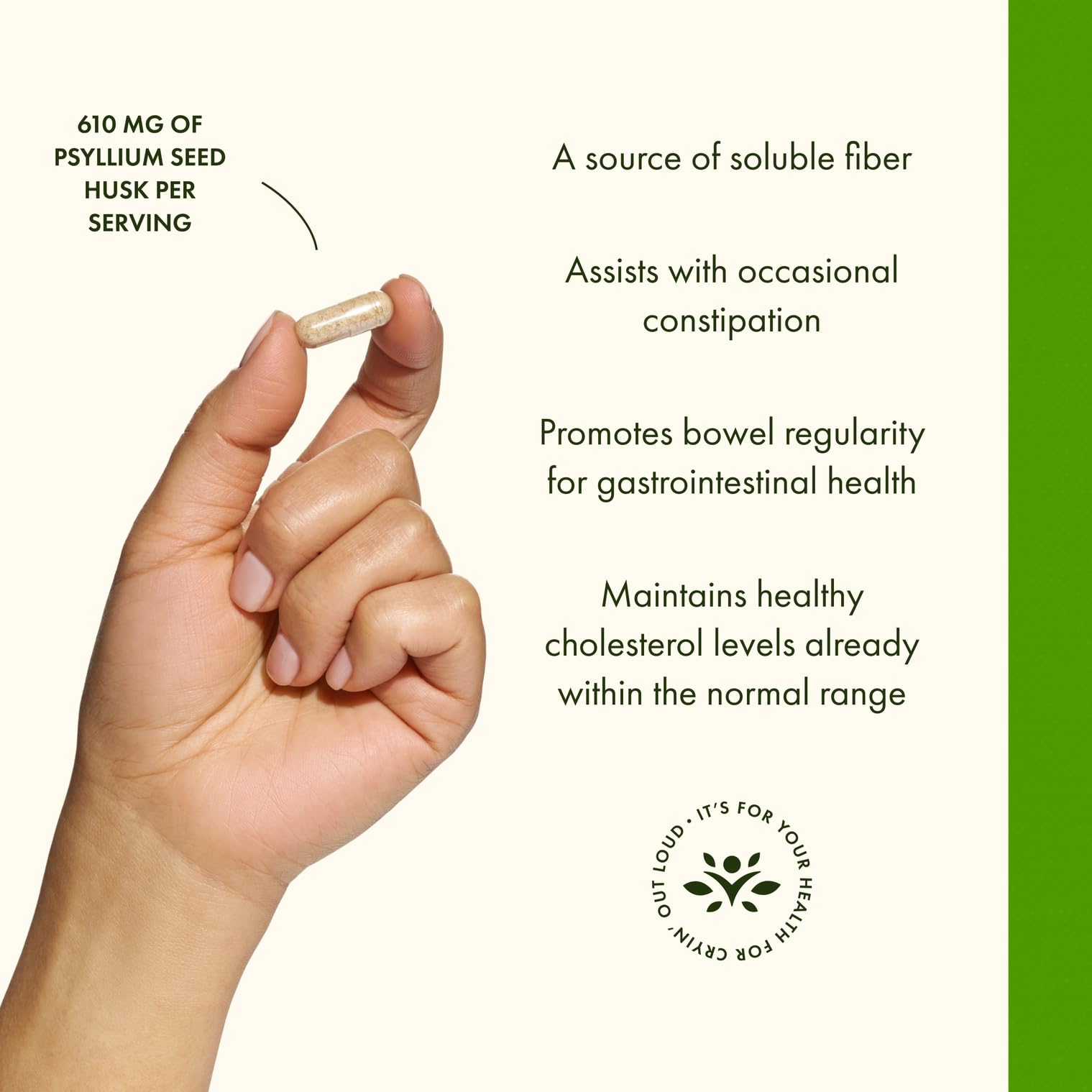 Psyllium husk capsules on a clean white background