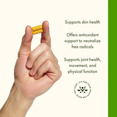 Liver health support turmeric capsules