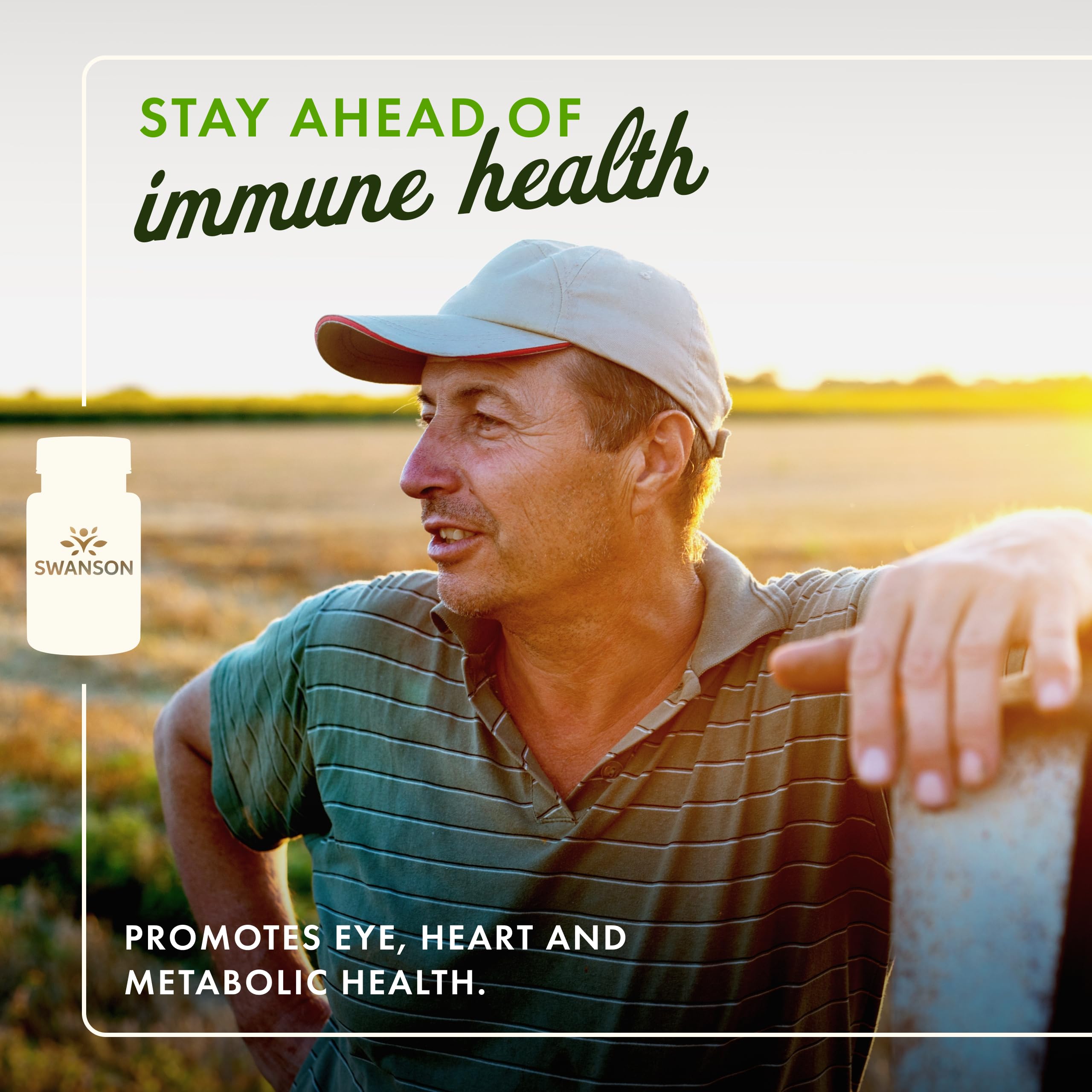 Back label showing supplement facts for Swanson Vitamin C Powder