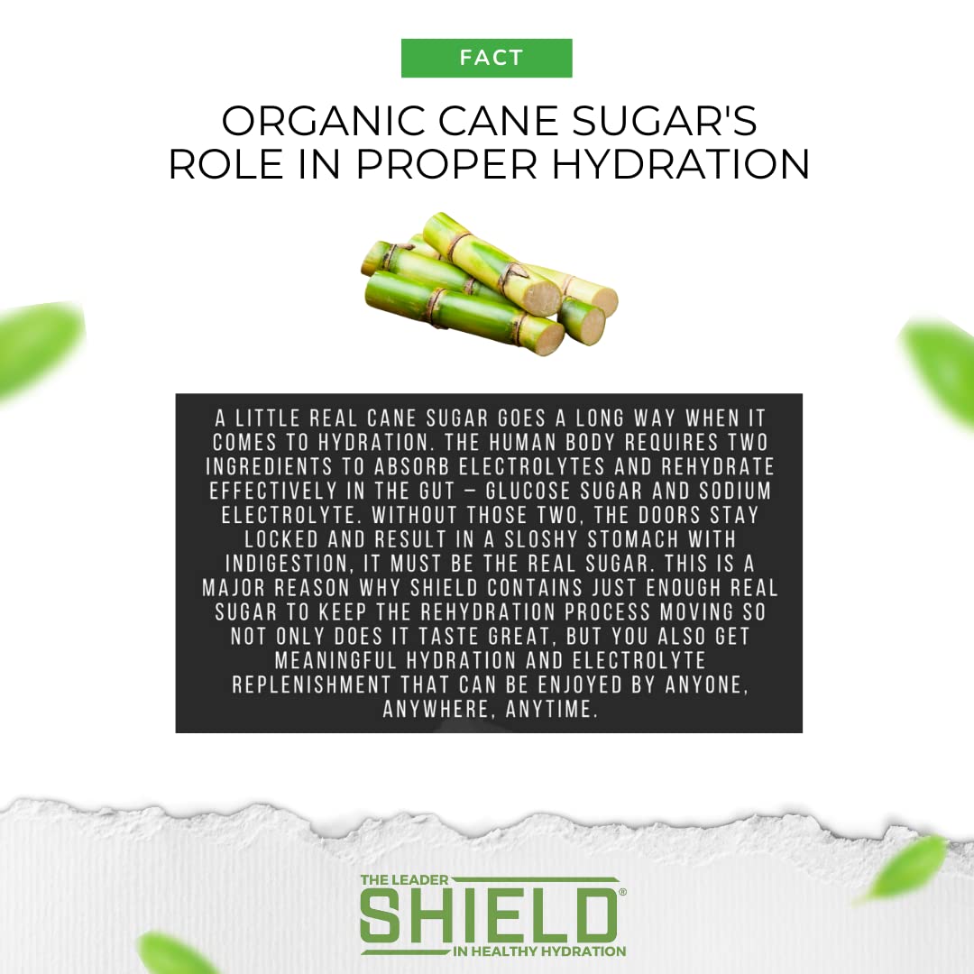 SWORD PERFORMANCE Shield pineapple mango packet dissolving provides tropical flavor for post-workout recovery.