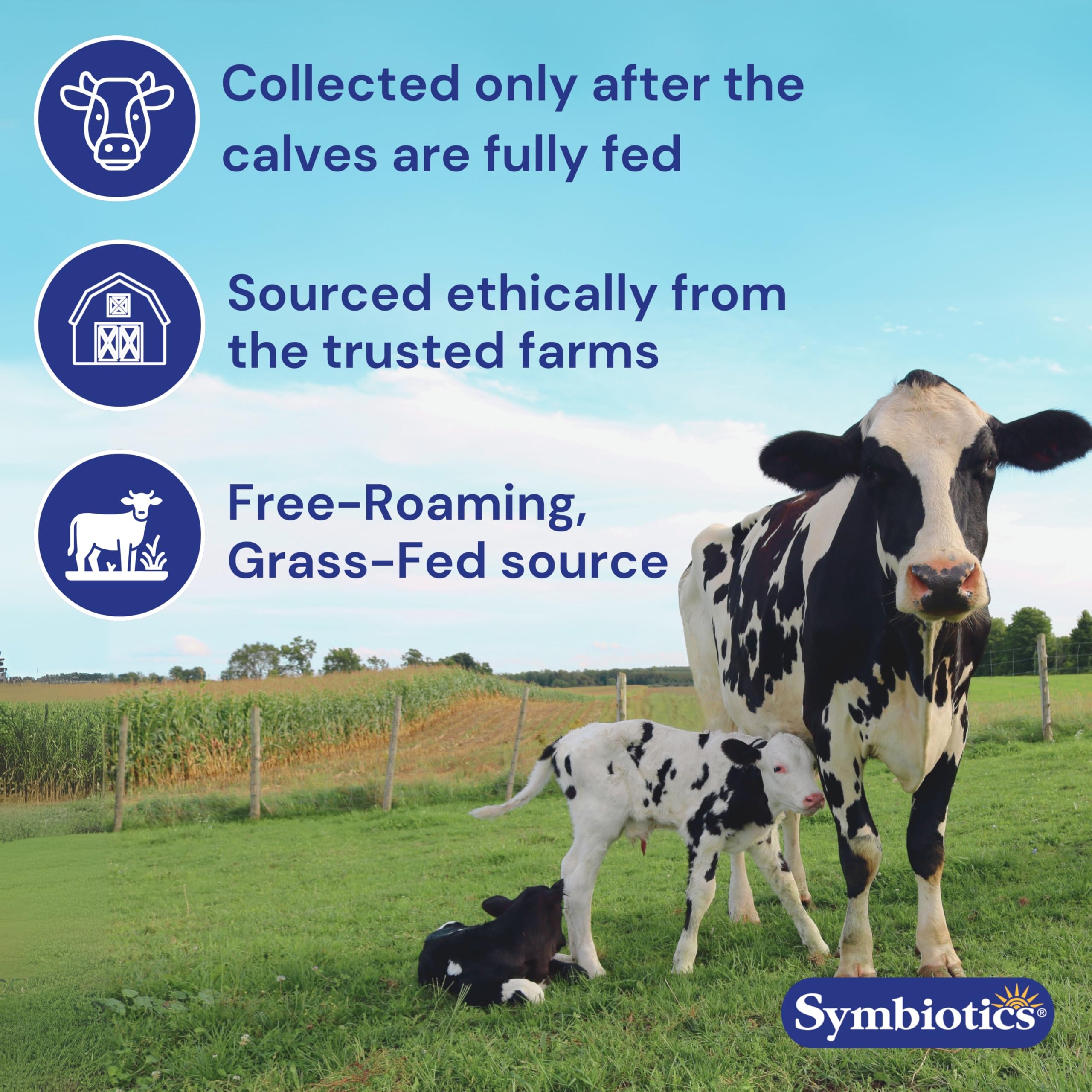 Close-up of ingredients and bioactive components in Symbiotics Colostrum Plus Powder