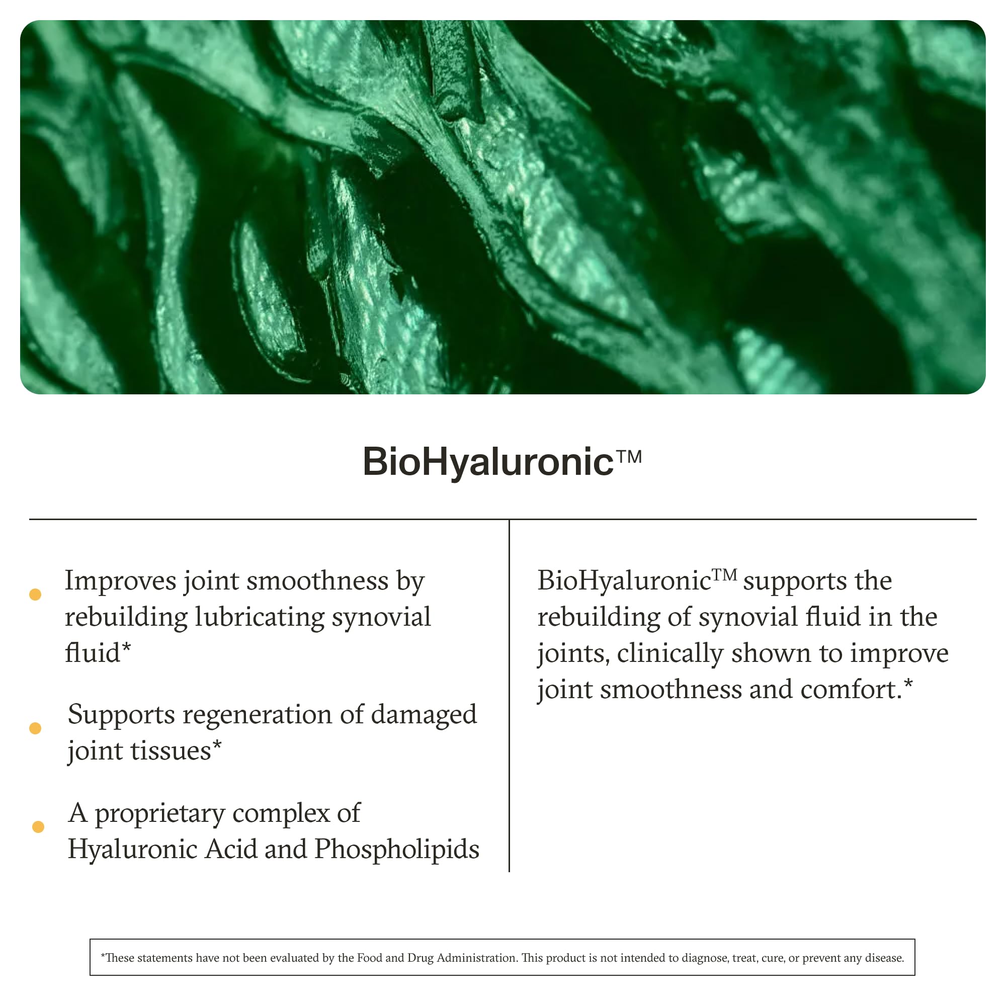 Graphic illustrating BioHyaluronic complex in ReJuve