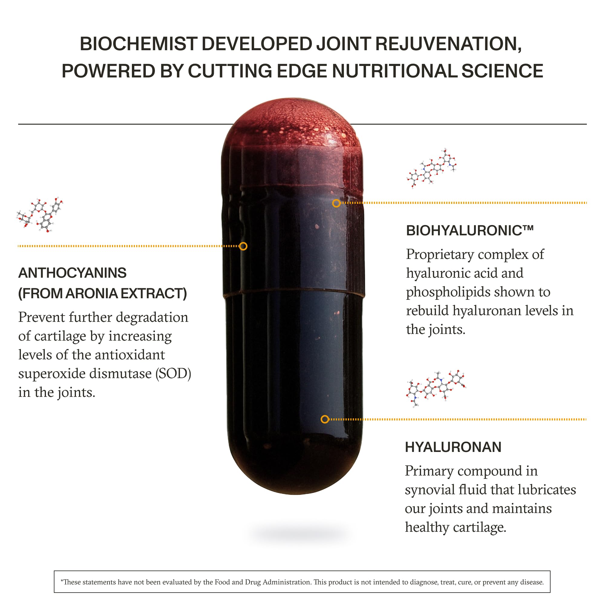 Graphic showing Hyaluronic Acid content in Synchro Rejuve
