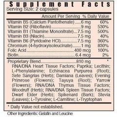 Graphic representation of heart health and herbal components