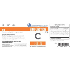 Illustration of colon health and detox support