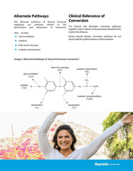 Dr. Alan Christianson doctor-formulated Hashimoto's support