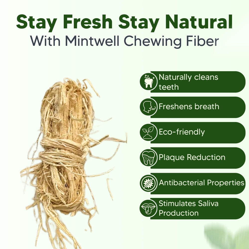 Taakotsa (Sawie) traditional wood fiber chewing fibers