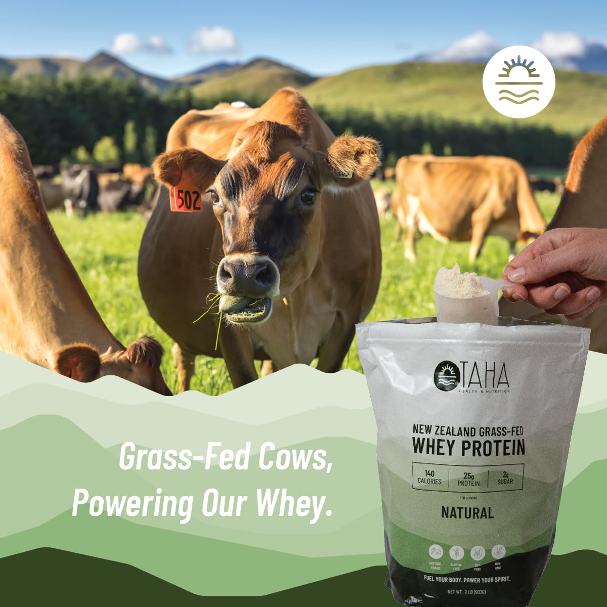 Taha Health & Nutrition cold-processed whey concentrate bottle preserving protein integrity for workouts.