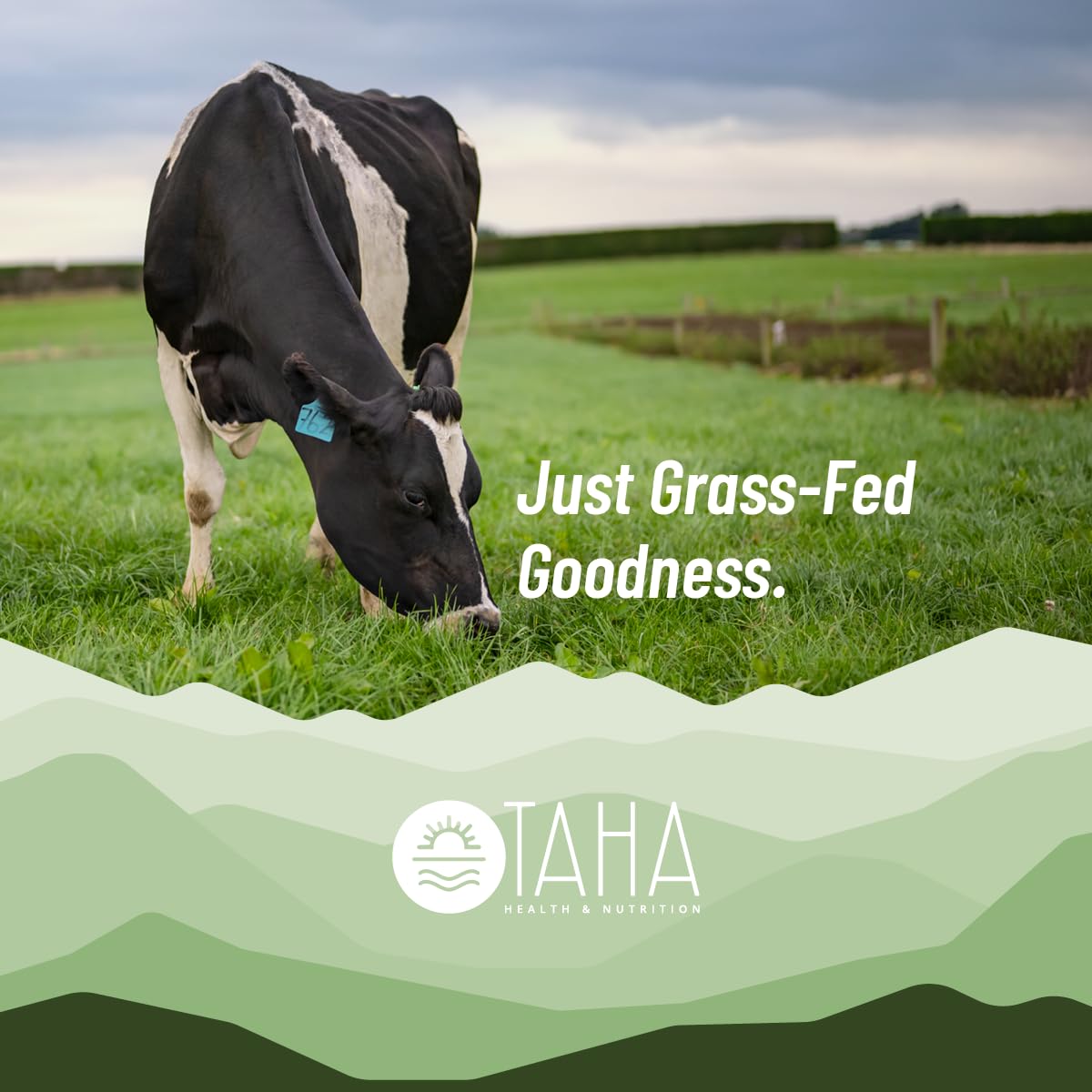 Taha Health & Nutrition vanilla whey protein shake glass ready for post-workout recovery.